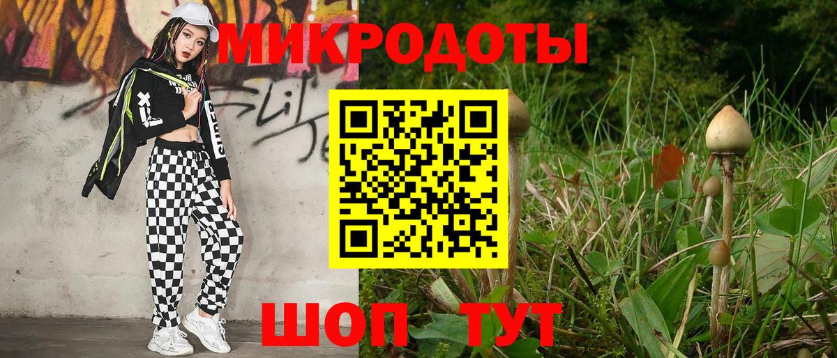 Галлюциногенные грибы прущие грибы  Вход с VPN  Подольск  Галлюциногенные грибы мухоморы 